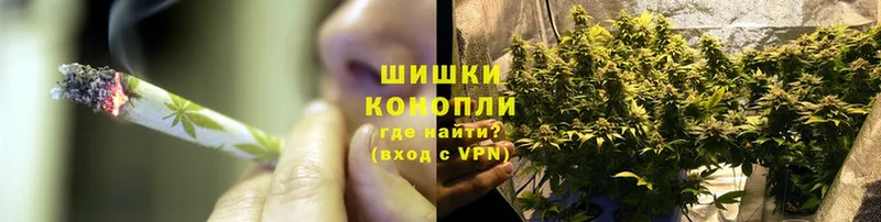 Каннабис White Widow  где продают наркотики  Тайга 